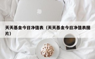 天天基金今日净值表（天天基金今日净值表图片）