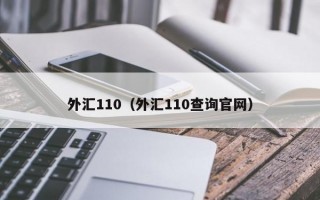 外汇110（外汇110查询官网）