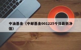 中油基金（中邮基金001225今日最新净值）