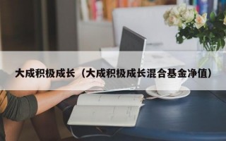 大成积极成长（大成积极成长混合基金净值）