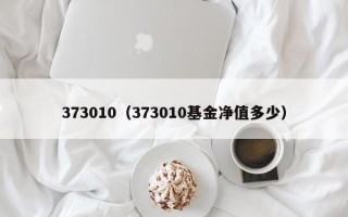 373010（373010基金净值多少）