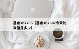 基金162703（基金162607今天的净值是多少）