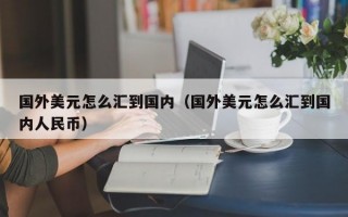 国外美元怎么汇到国内（国外美元怎么汇到国内人民币）