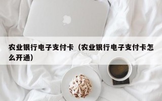 农业银行电子支付卡（农业银行电子支付卡怎么开通）