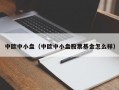 中欧中小盘（中欧中小盘股票基金怎么样）