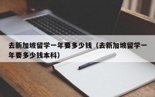 去新加坡留学一年要多少钱（去新加坡留学一年要多少钱本科）