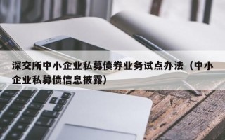 深交所中小企业私募债券业务试点办法（中小企业私募债信息披露）