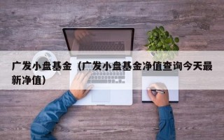 广发小盘基金（广发小盘基金净值查询今天最新净值）