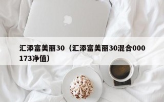 汇添富美丽30（汇添富美丽30混合000173净值）