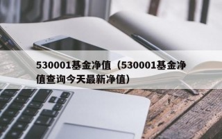 530001基金净值（530001基金净值查询今天最新净值）