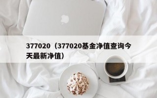 377020（377020基金净值查询今天最新净值）