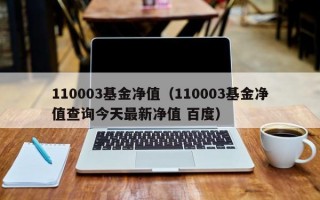 110003基金净值（110003基金净值查询今天最新净值 百度）