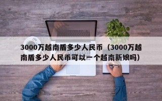 3000万越南盾多少人民币（3000万越南盾多少人民币可以一个越南新娘吗）