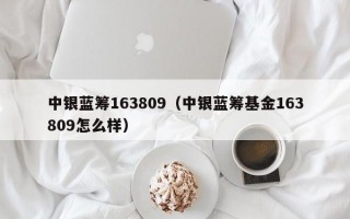 中银蓝筹163809（中银蓝筹基金163809怎么样）