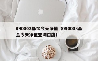 090003基金今天净值（090003基金今天净值查询百度）