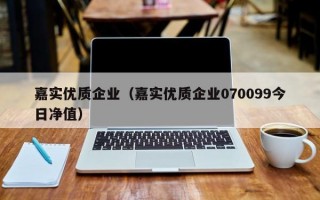 嘉实优质企业（嘉实优质企业070099今日净值）