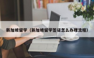 新加坡留学（新加坡留学签证怎么办理流程）