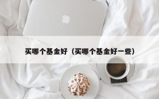 买哪个基金好（买哪个基金好一些）