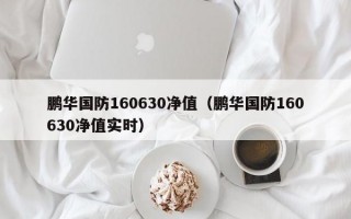 鹏华国防160630净值（鹏华国防160630净值实时）