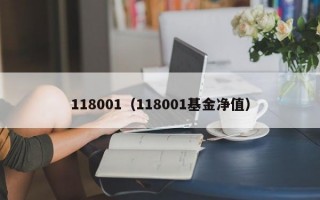 118001（118001基金净值）