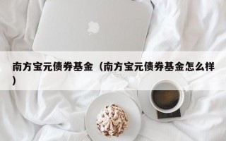 南方宝元债券基金（南方宝元债券基金怎么样）