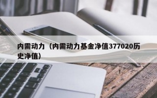 内需动力（内需动力基金净值377020历史净值）