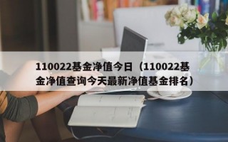 110022基金净值今日（110022基金净值查询今天最新净值基金排名）