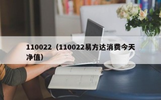 110022（110022易方达消费今天净值）