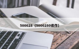 500028（5000280读作）