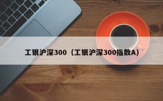 工银沪深300（工银沪深300指数A）