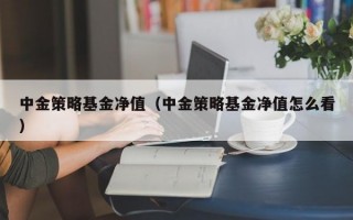 中金策略基金净值（中金策略基金净值怎么看）