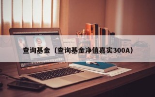 查询基金（查询基金净值嘉实300A）