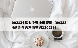 003834基金今天净值查询（003834基金今天净值查询110029）