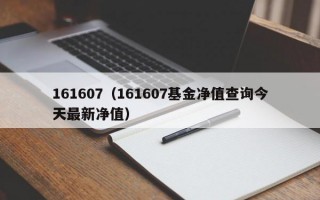 161607（161607基金净值查询今天最新净值）