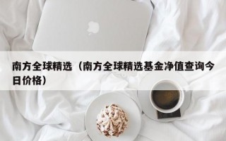 南方全球精选（南方全球精选基金净值查询今日价格）