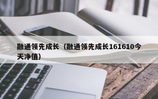 融通领先成长（融通领先成长161610今天净值）