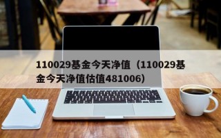 110029基金今天净值（110029基金今天净值估值481006）