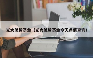 光大优势基金（光大优势基金今天净值查询）