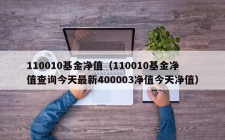 110010基金净值（110010基金净值查询今天最新400003净值今天净值）