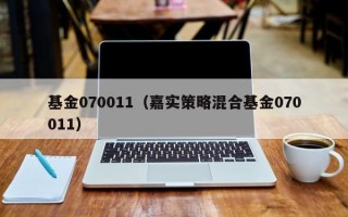 基金070011（嘉实策略混合基金070011）