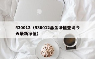 530012（530012基金净值查询今天最新净值）