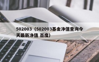 502003（502003基金净值查询今天最新净值 百度）