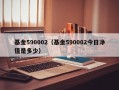 基金590002（基金590002今日净值是多少）