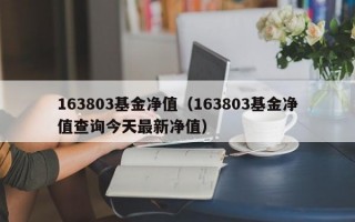 163803基金净值（163803基金净值查询今天最新净值）