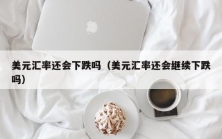 美元汇率还会下跌吗（美元汇率还会继续下跌吗）