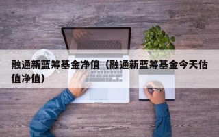 融通新蓝筹基金净值（融通新蓝筹基金今天估值净值）