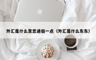 外汇是什么意思通俗一点（外汇是什么东东）