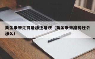 黄金未来走势是涨还是跌（黄金未来趋势还会涨么）