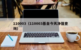 110003（110003基金今天净值查询）