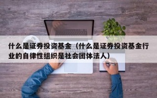 什么是证券投资基金（什么是证券投资基金行业的自律性组织是社会团体法人）